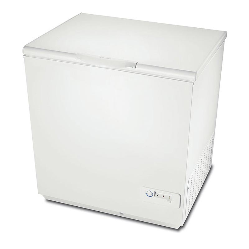 Mraznička ECN 21109W